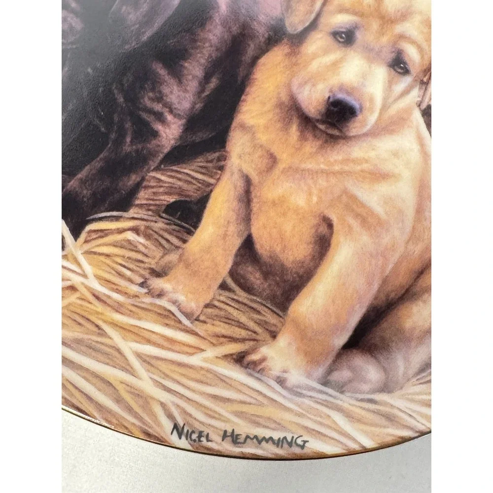 Franklin Mint Dog Plate Set of 3 Three's A Crowd, Take Me Home, Five And‎ Dine